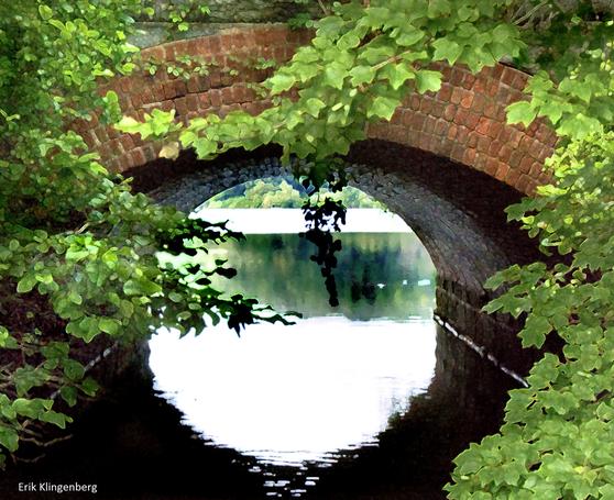 Hidden Ivy – The Meaning of The Name